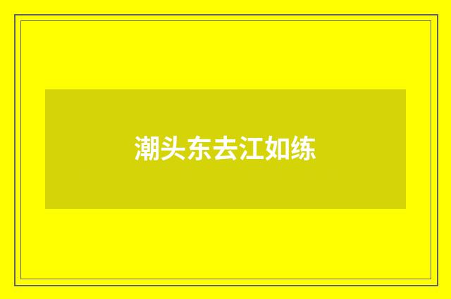 潮头东去江如练