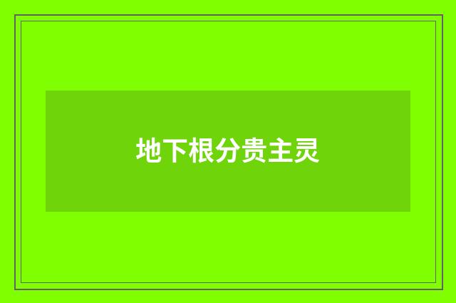 地下根分贵主灵