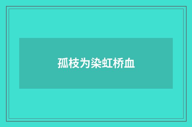 孤枝为染虹桥血