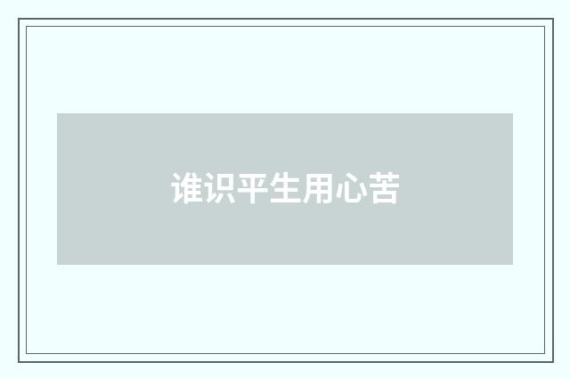 谁识平生用心苦