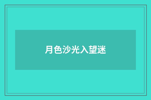 月色沙光入望迷