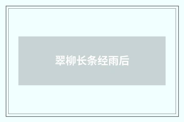 翠柳长条经雨后