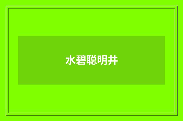 水碧聪明井