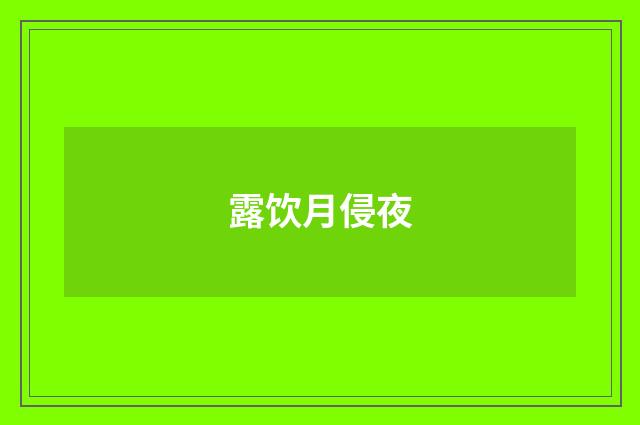 露饮月侵夜