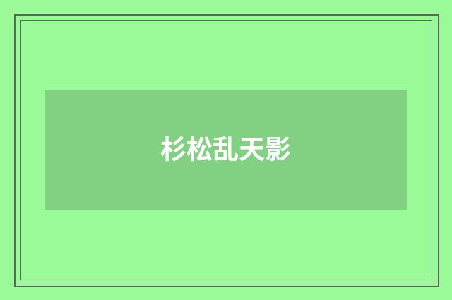 杉松乱天影