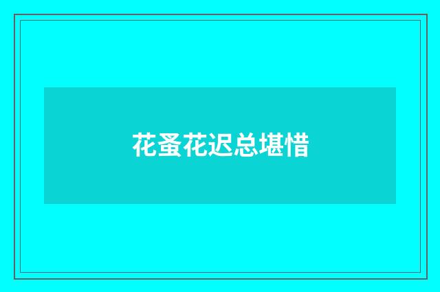 花蚤花迟总堪惜