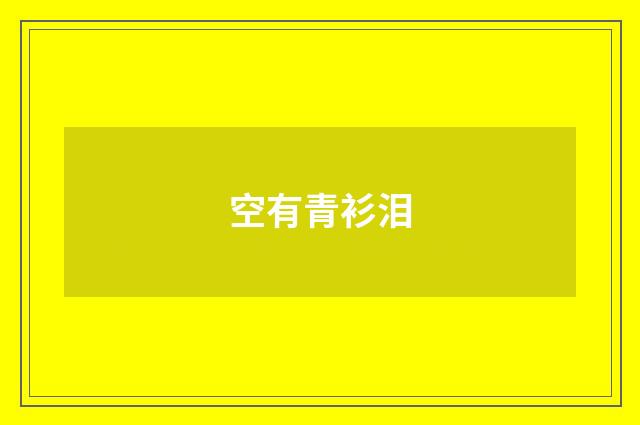 空有青衫泪