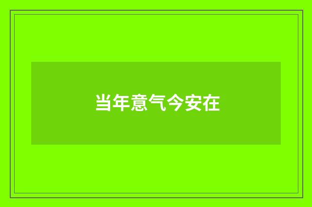 当年意气今安在