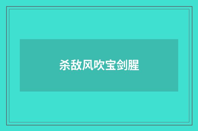 杀敌风吹宝剑腥