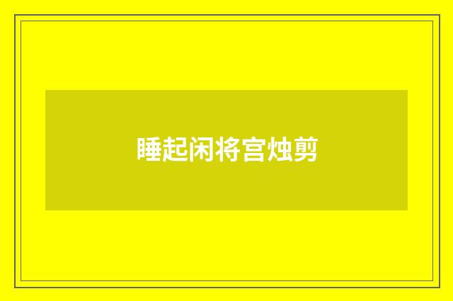 睡起闲将宫烛剪