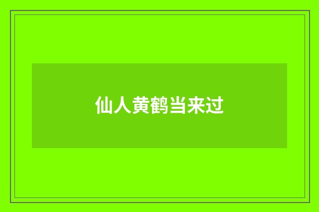 仙人黄鹤当来过