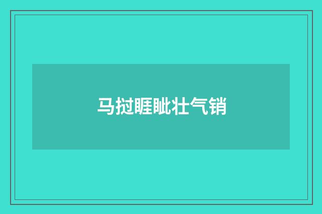 马挝睚眦壮气销