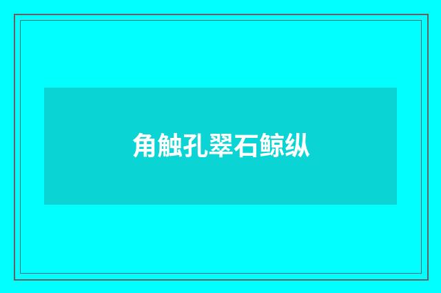 角触孔翠石鲸纵
