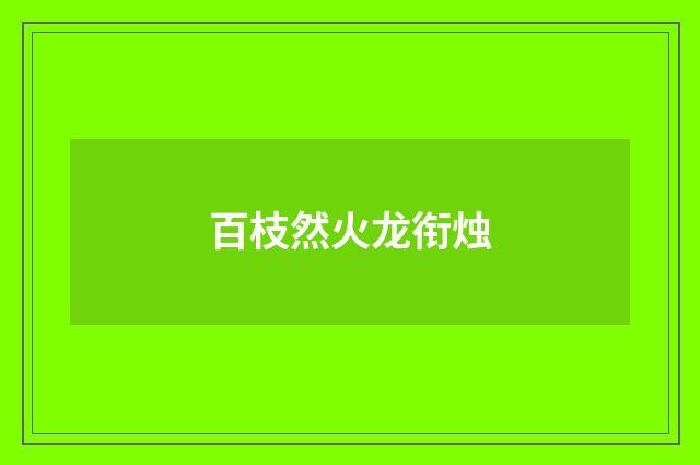 百枝然火龙衔烛