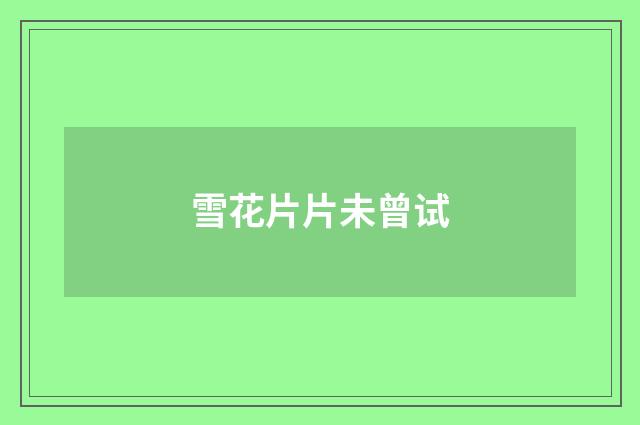 雪花片片未曾试