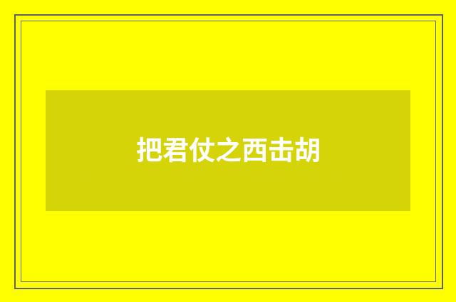 把君仗之西击胡