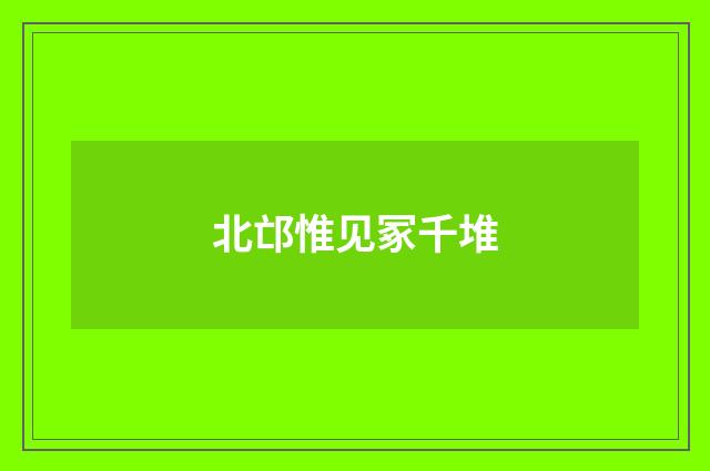 北邙惟见冢千堆
