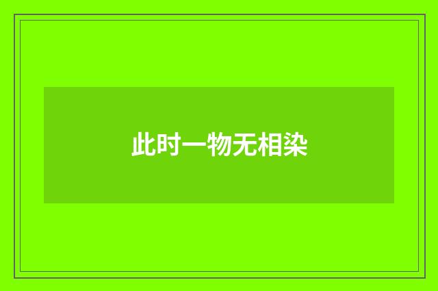 此时一物无相染