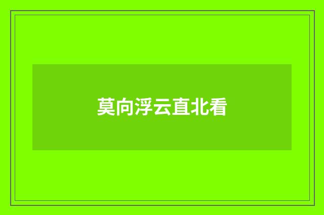 莫向浮云直北看