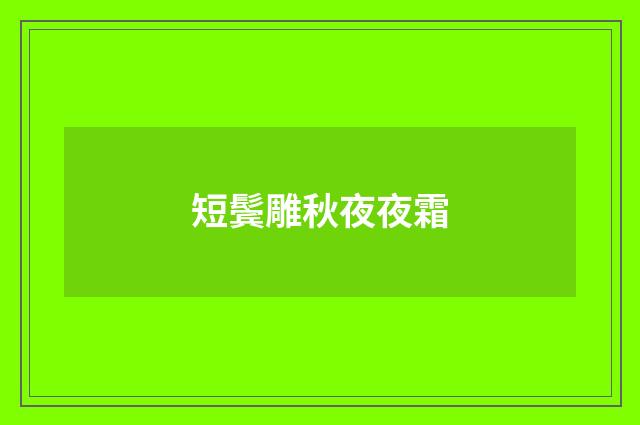 短鬓雕秋夜夜霜