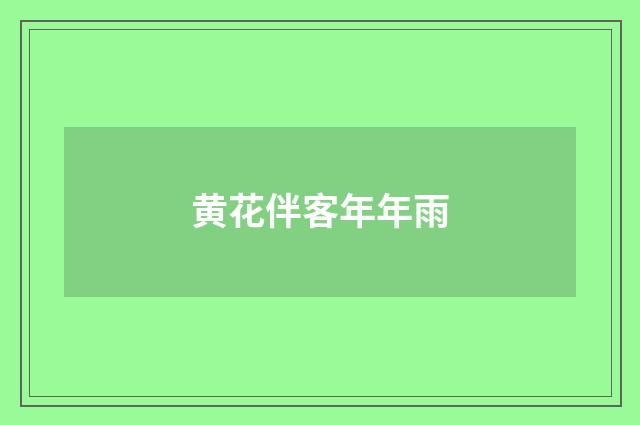黄花伴客年年雨