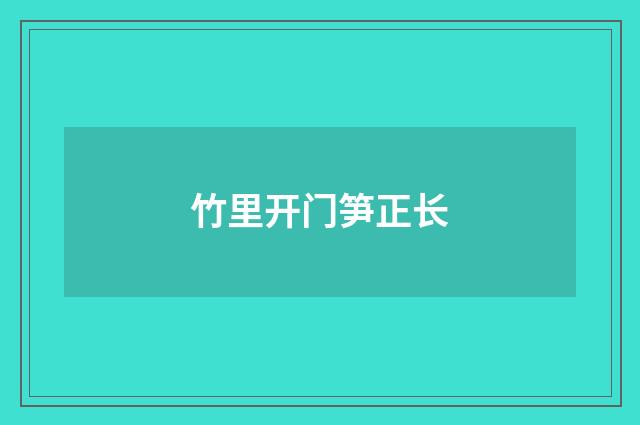竹里开门笋正长