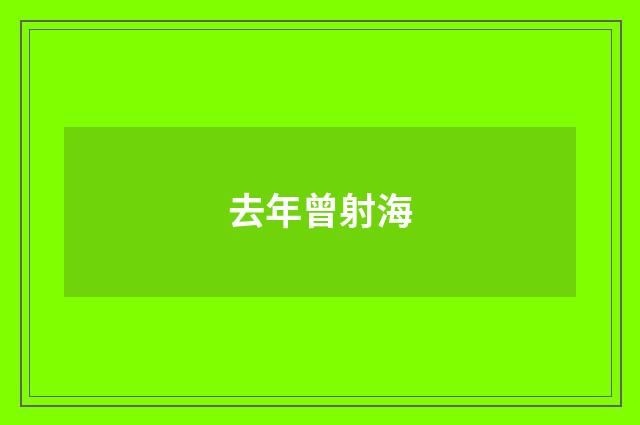 去年曾射海