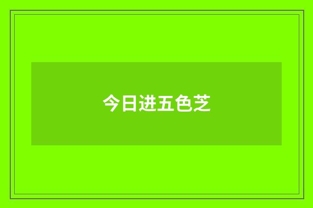 今日进五色芝
