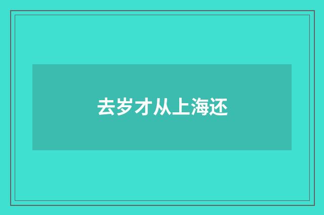 去岁才从上海还