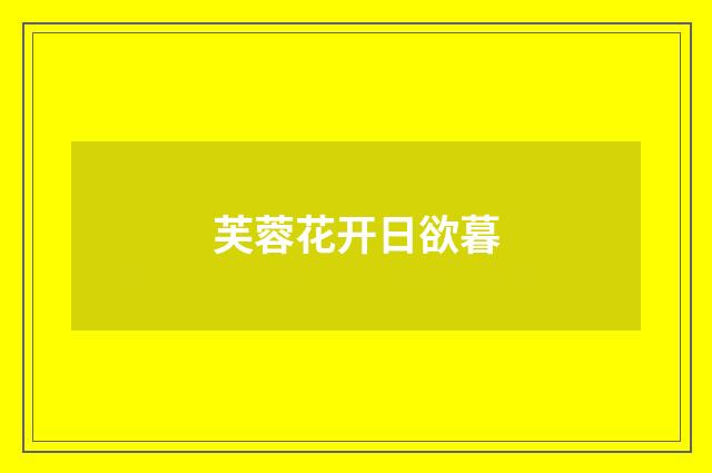 芙蓉花开日欲暮