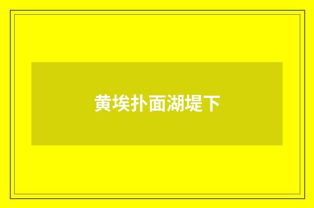 黄埃扑面湖堤下