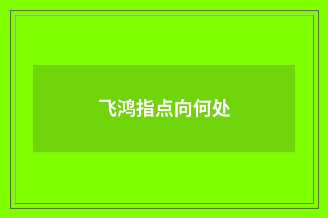 飞鸿指点向何处