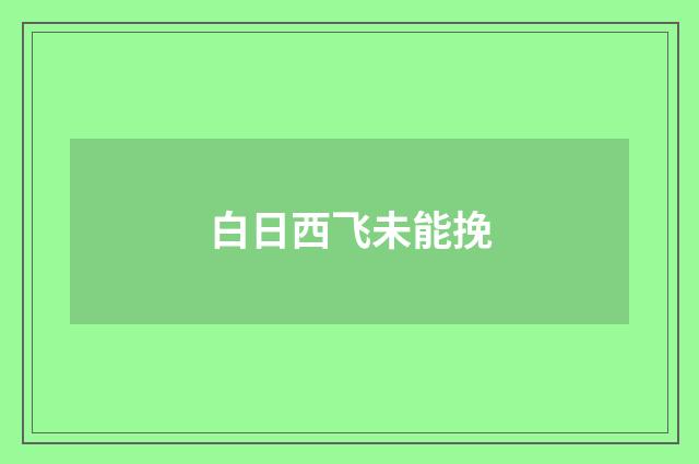 白日西飞未能挽