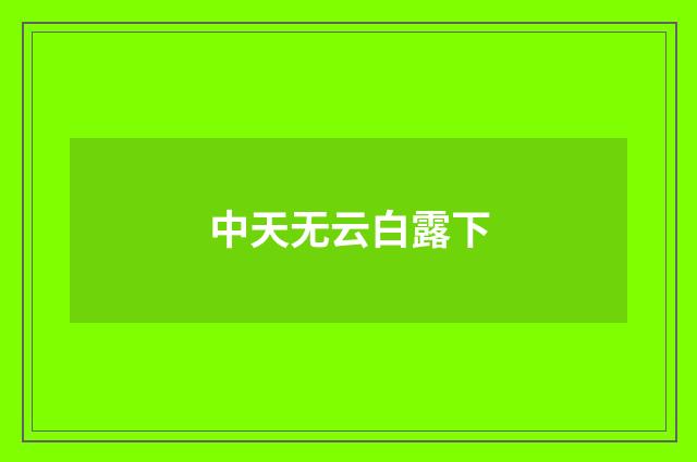 中天无云白露下