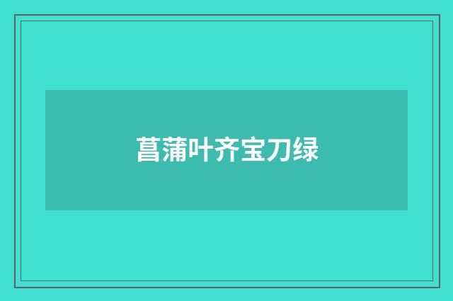 菖蒲叶齐宝刀绿