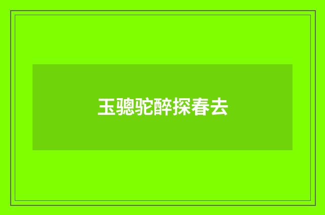 玉骢驼醉探春去