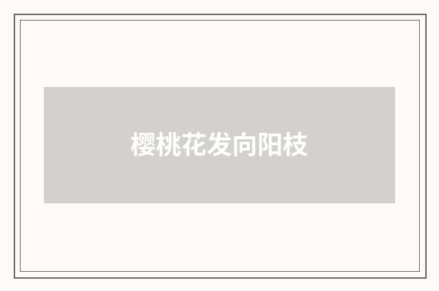 樱桃花发向阳枝