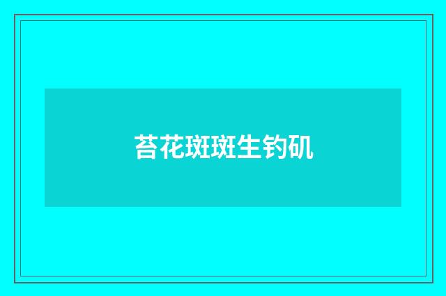 苔花斑斑生钓矶