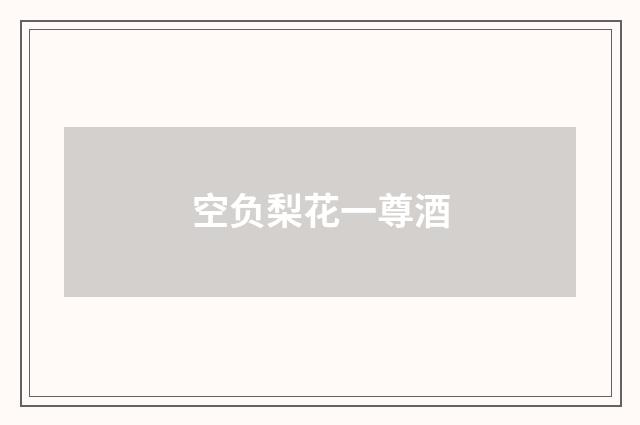 空负梨花一尊酒