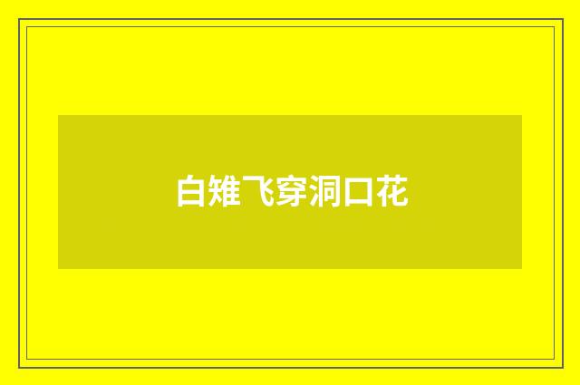 白雉飞穿洞口花