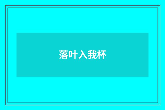 落叶入我杯