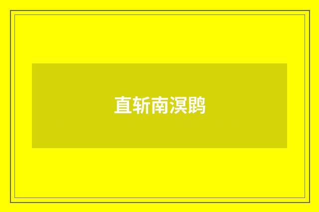 直斩南溟鹍