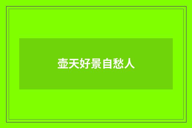 壶天好景自愁人