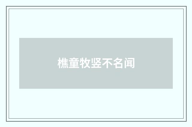 樵童牧竖不名闻