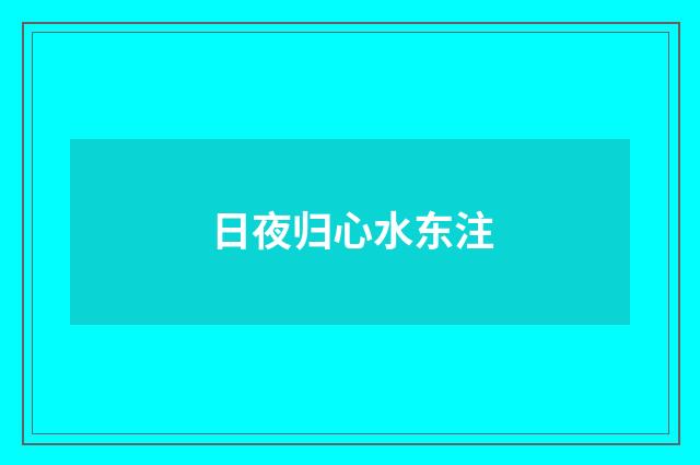 日夜归心水东注