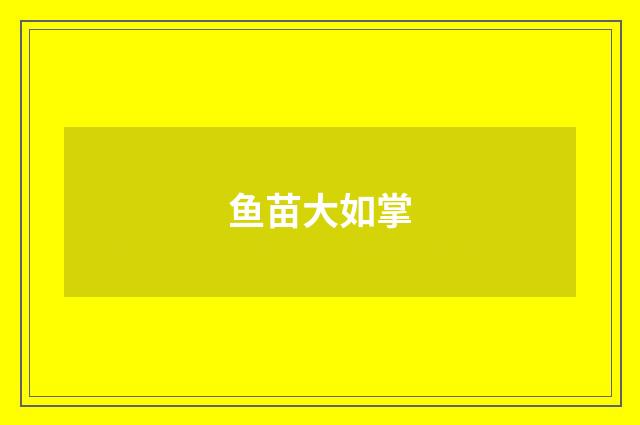 鱼苗大如掌