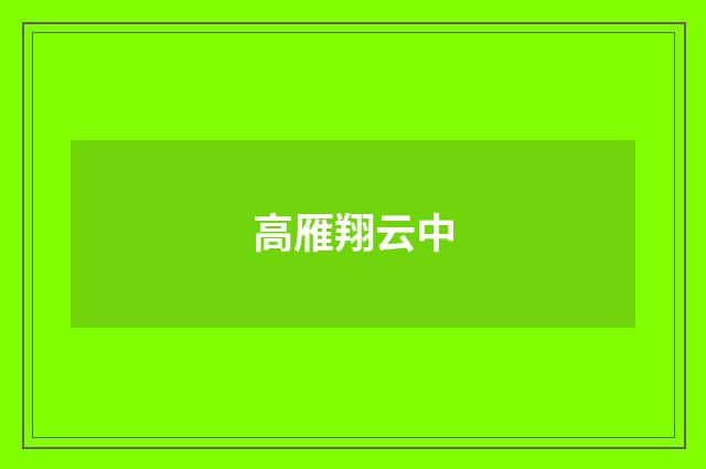 高雁翔云中