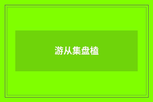 游从集盘榼