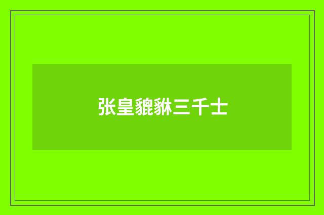 张皇貔貅三千士