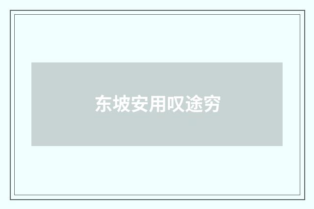 东坡安用叹途穷